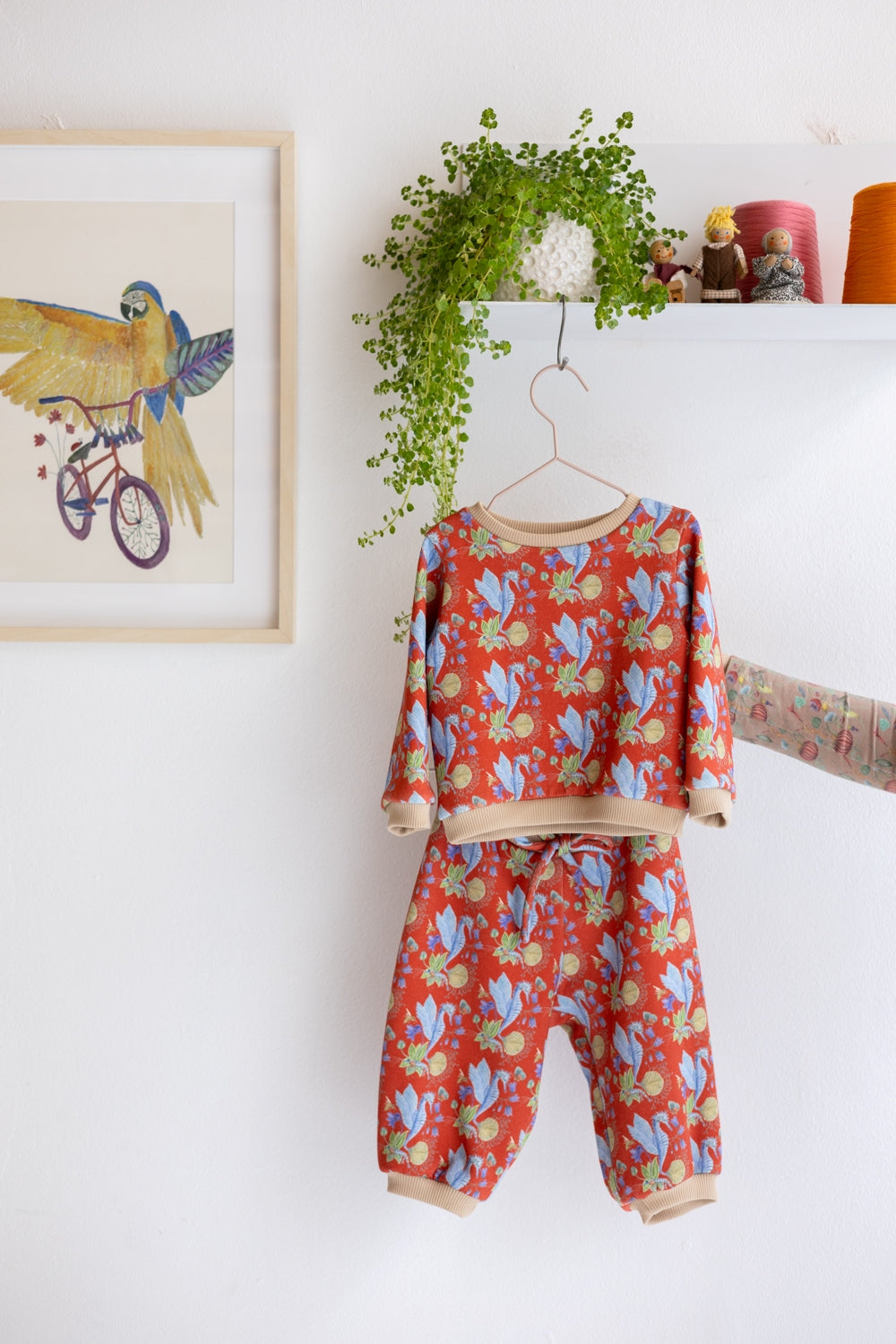 Babies organic cotton sweatshirt and pants.
