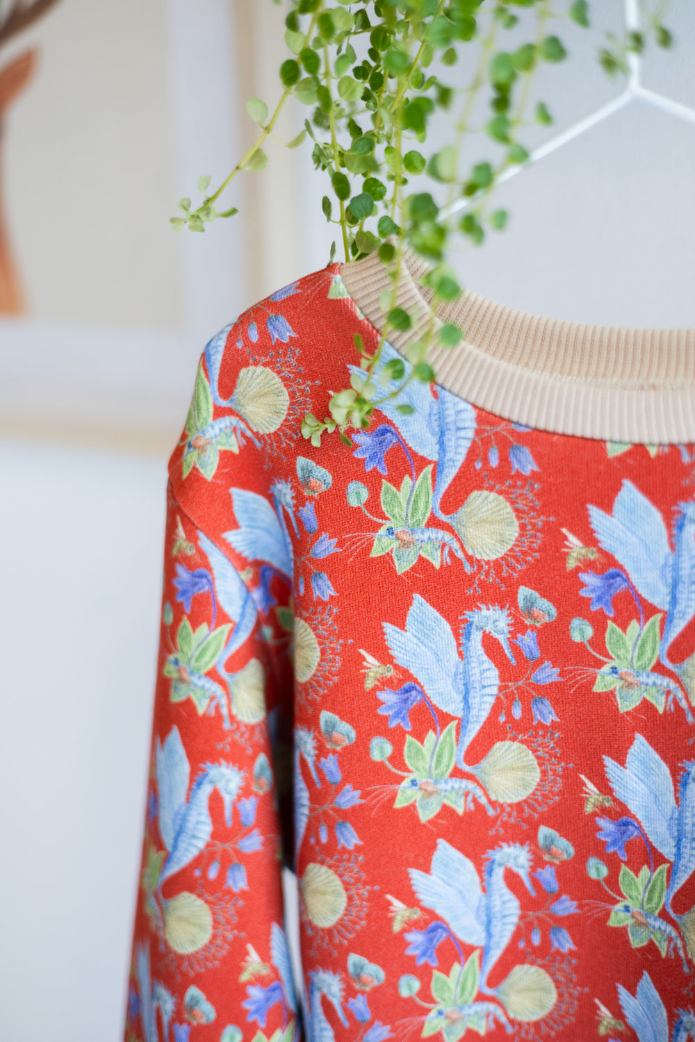 Kids organic cotton sweatshirt.